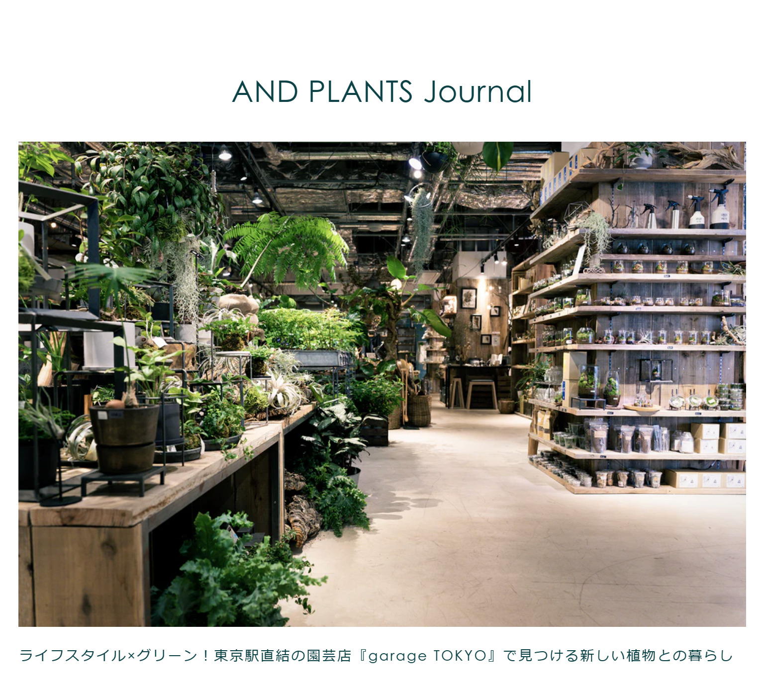 WEB掲載情報