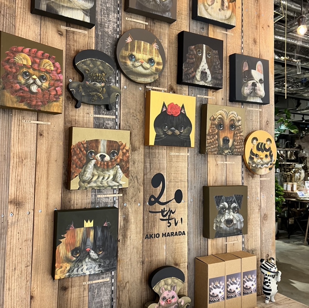 原田章生 個展