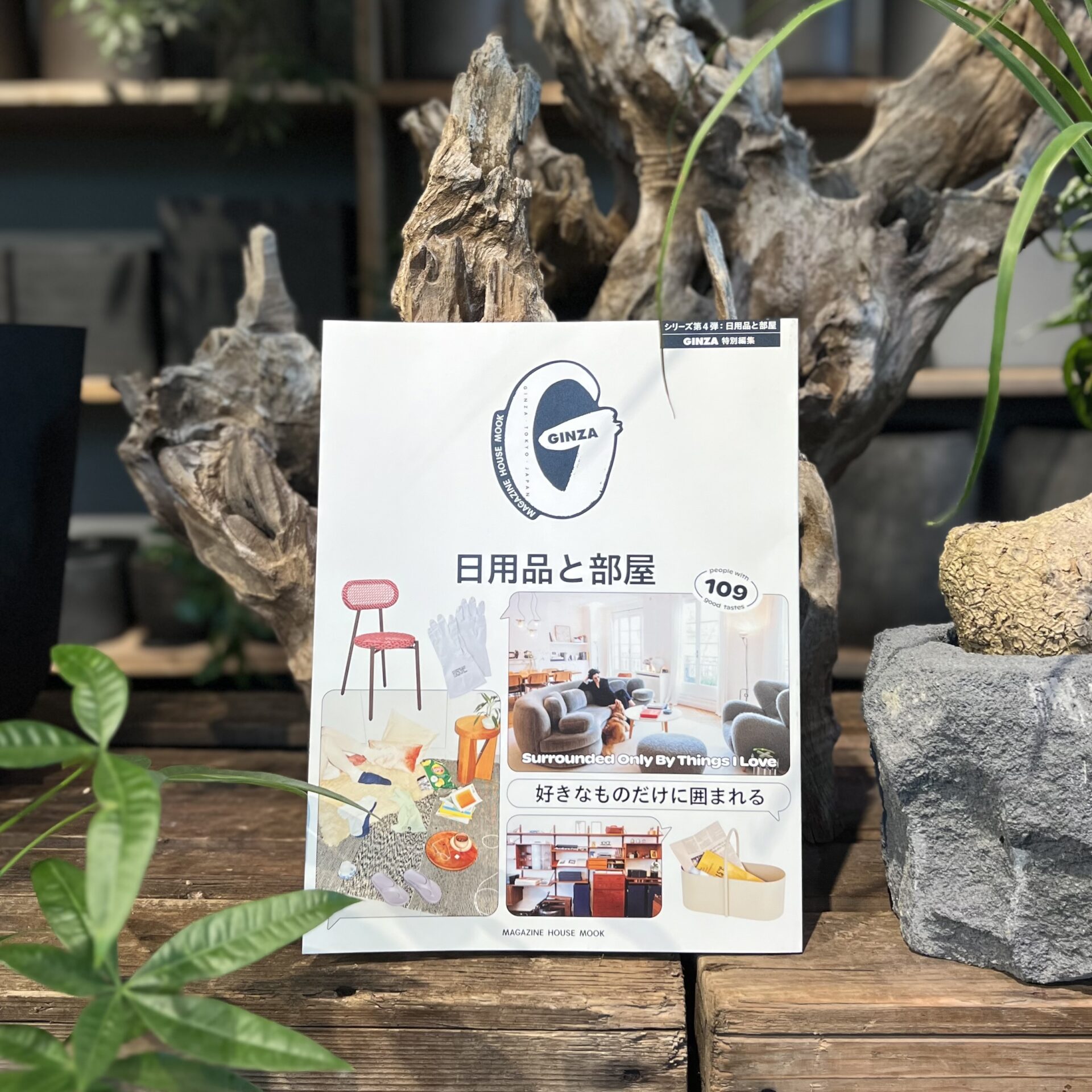 雑誌掲載情報